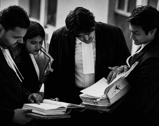 HMLO professional team